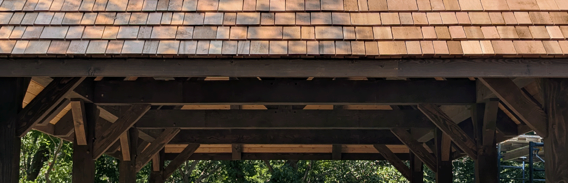 Red cedar wood grain